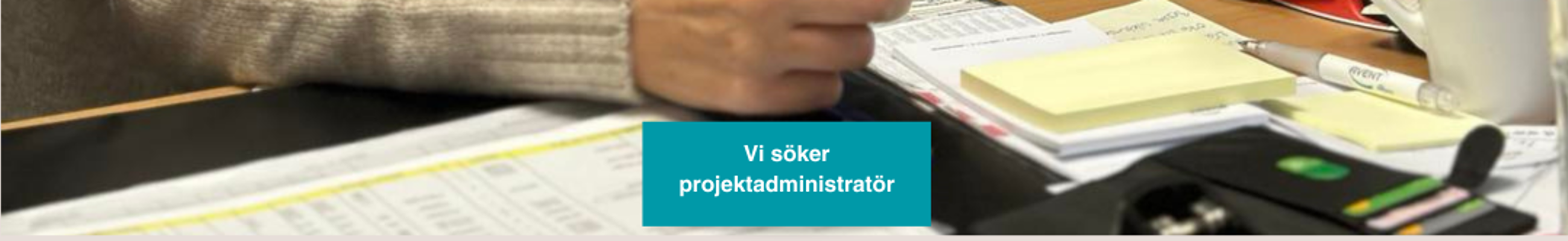 Projektadmin Webb