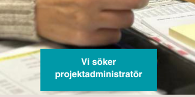 Projektadmin Webb