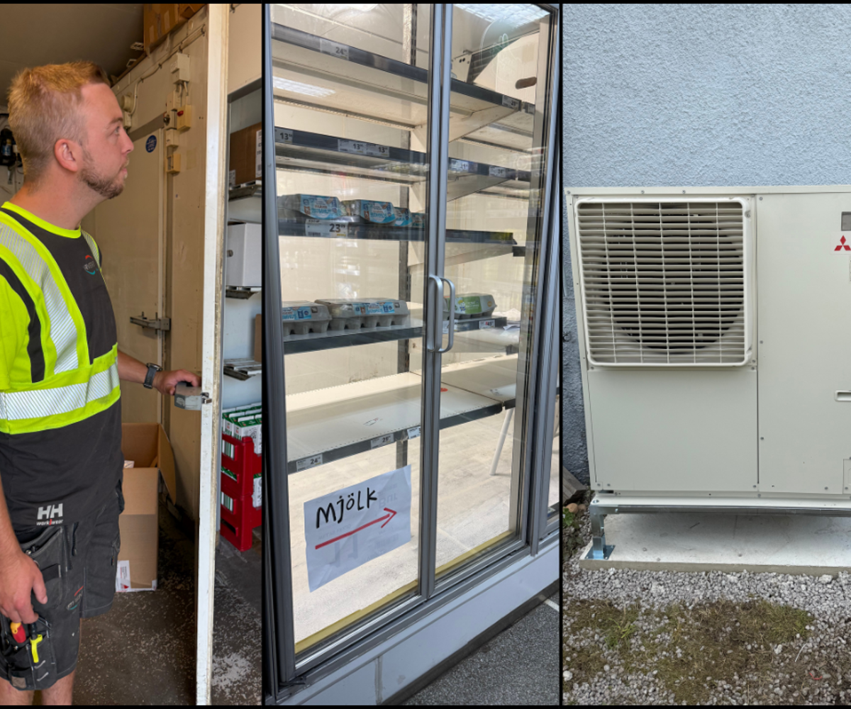 Bilder Tempofågelmara