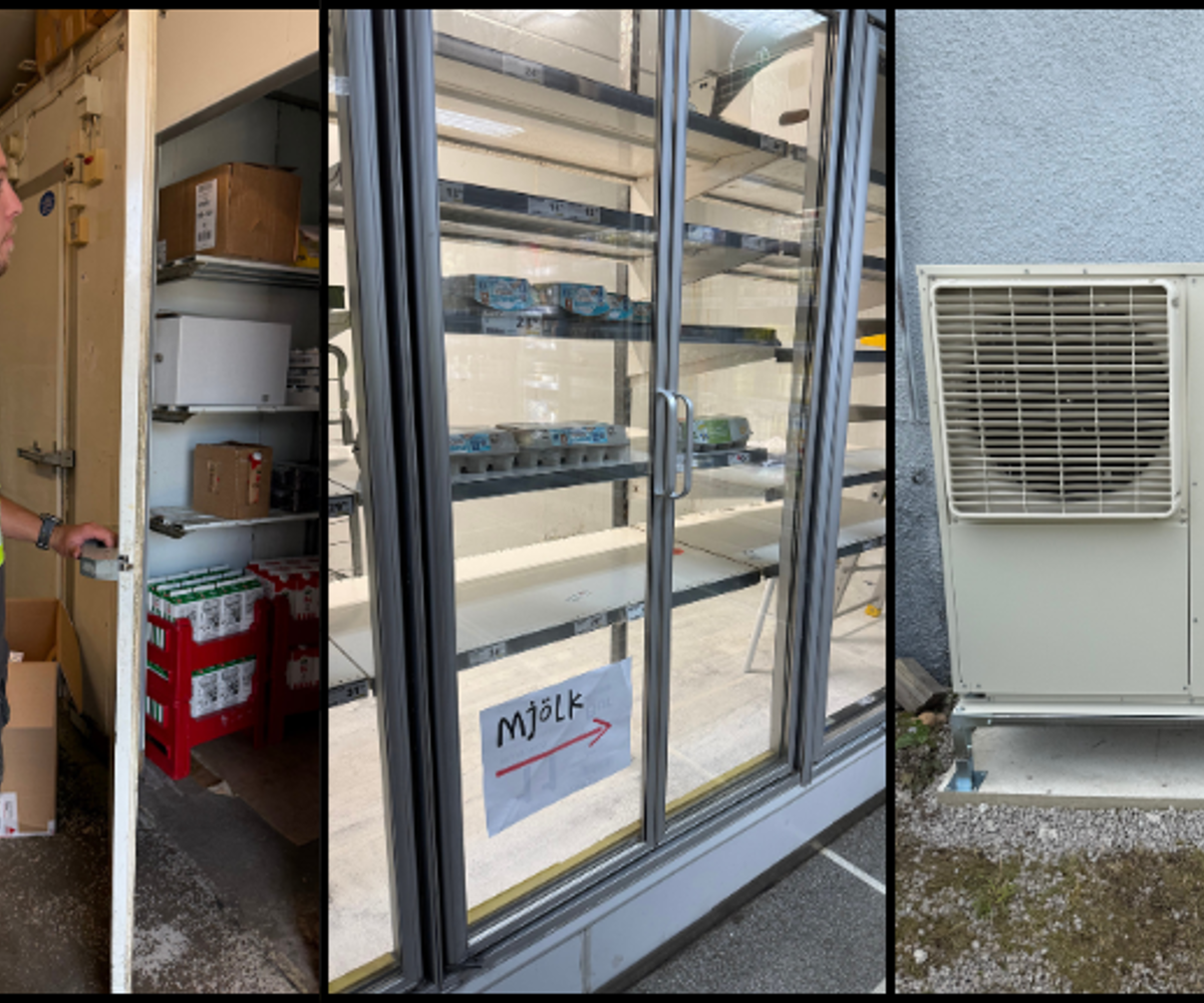 Bilder Tempofågelmara (720 X 432 Px)